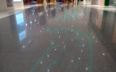 Why Are Businesses Switching to Polished Concrete Floors?